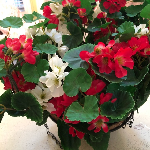 Plow & Hearth Light-Up Geranium Hanging Basket Arrangement - Picture 3 of 6